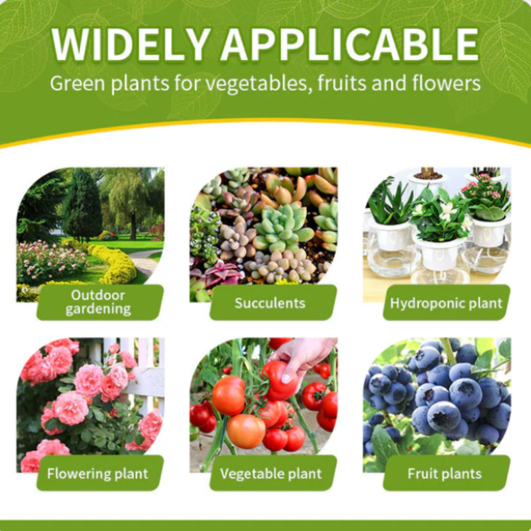 AEXZR®  HyperGrowth-Pro Plant Growth Hormone