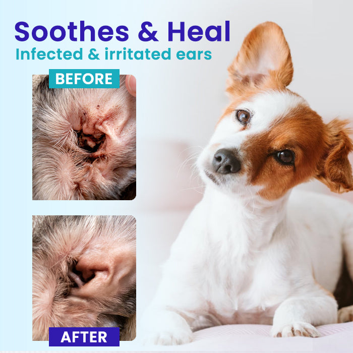 RZXEA™ Pet EarPro Drops FM+