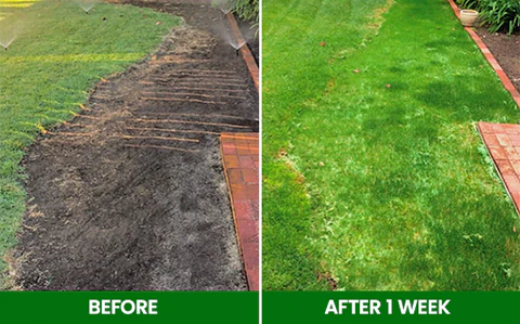 🏆Official Store | 🌟 Give your lawn a new look 🌟AEXZR®  Compostable Lawn Grow Mat