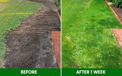 🏆Official Store | 🌟 Give your lawn a new look 🌟AEXZR®  Compostable Lawn Grow Mat