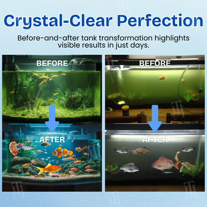 🏆 Official Store | 🌊 Achieve Crystal Clear Water & Thriving Fish 🌿 AEXZR® Aqua-Guardian Blend