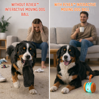 No More Guilty Goodbyes—RZXEA™ Entertains Your Pup 24/7.