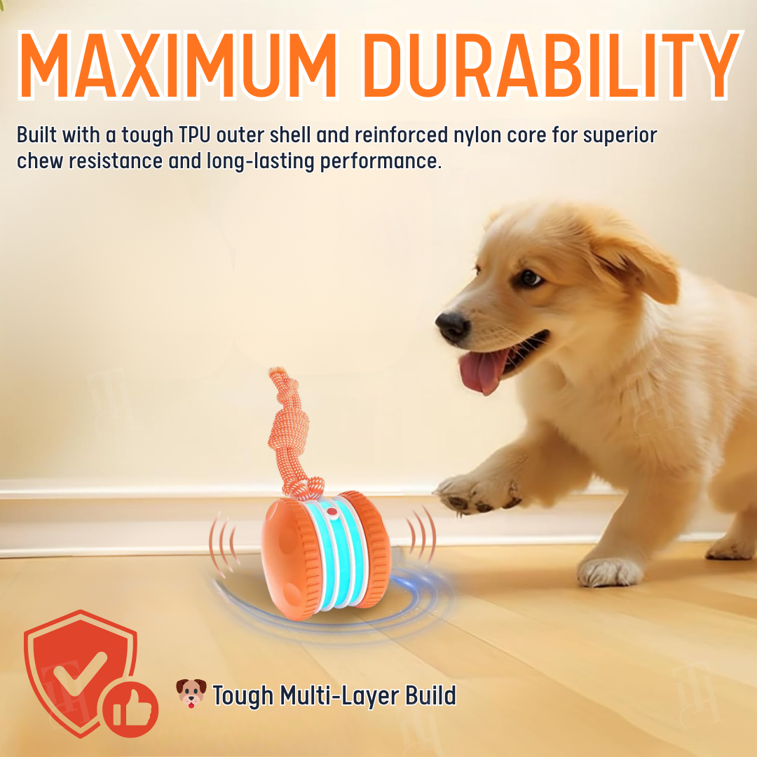 No More Guilty Goodbyes—RZXEA™ Entertains Your Pup 24/7.