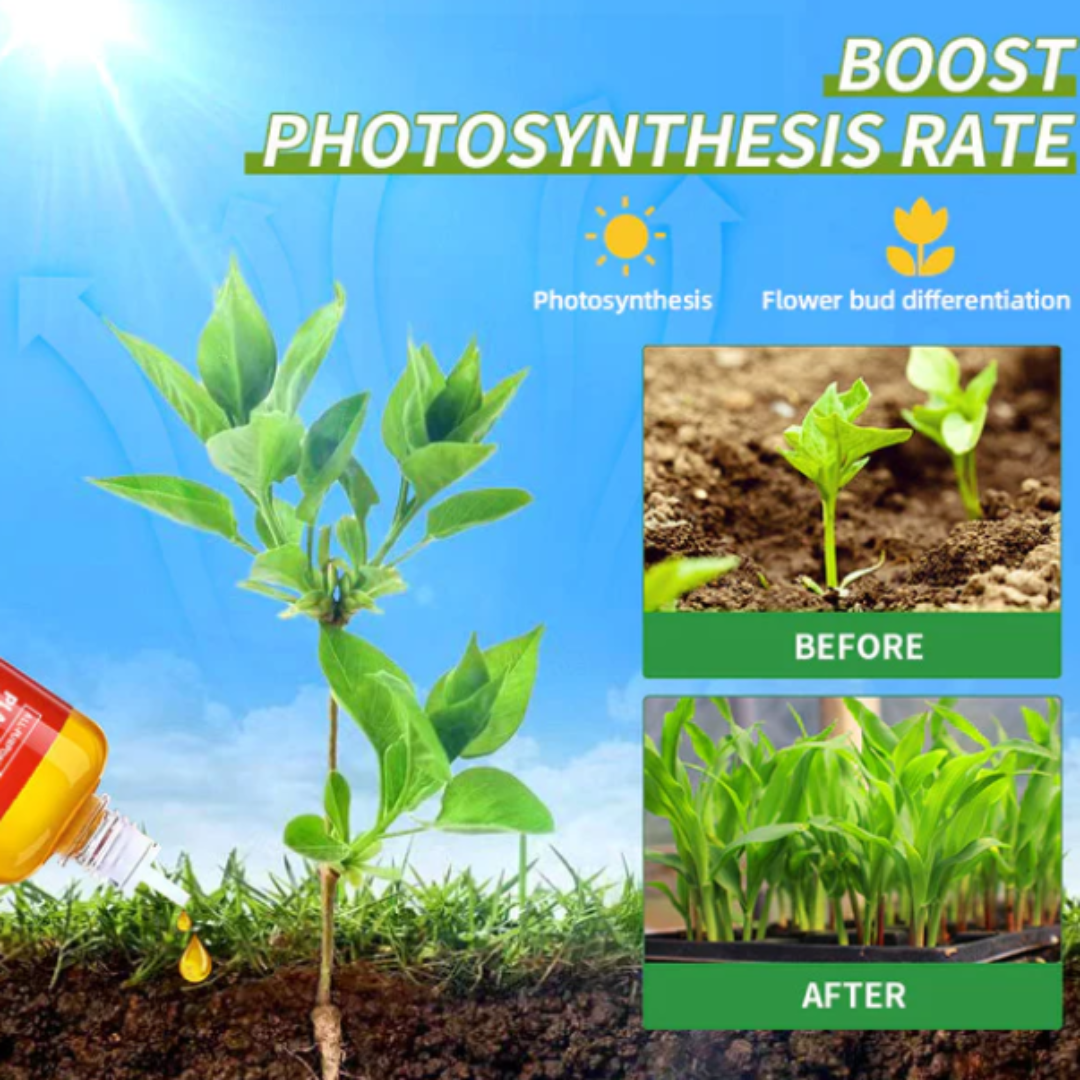 AEXZR®  HyperGrowth-Pro Plant Growth Hormone