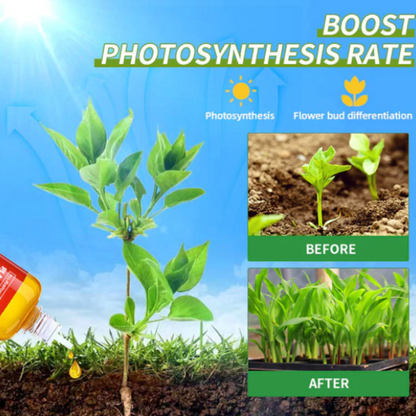 AEXZR®  HyperGrowth-Pro Plant Growth Hormone