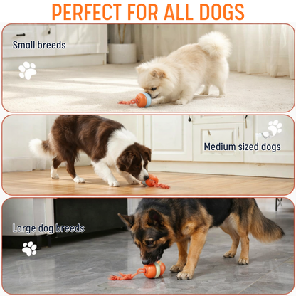 No More Guilty Goodbyes—RZXEA™ Entertains Your Pup 24/7.