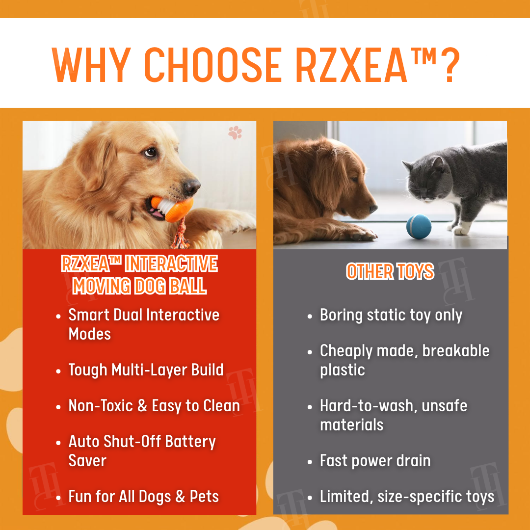 No More Guilty Goodbyes—RZXEA™ Entertains Your Pup 24/7.