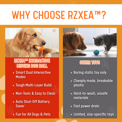No More Guilty Goodbyes—RZXEA™ Entertains Your Pup 24/7.