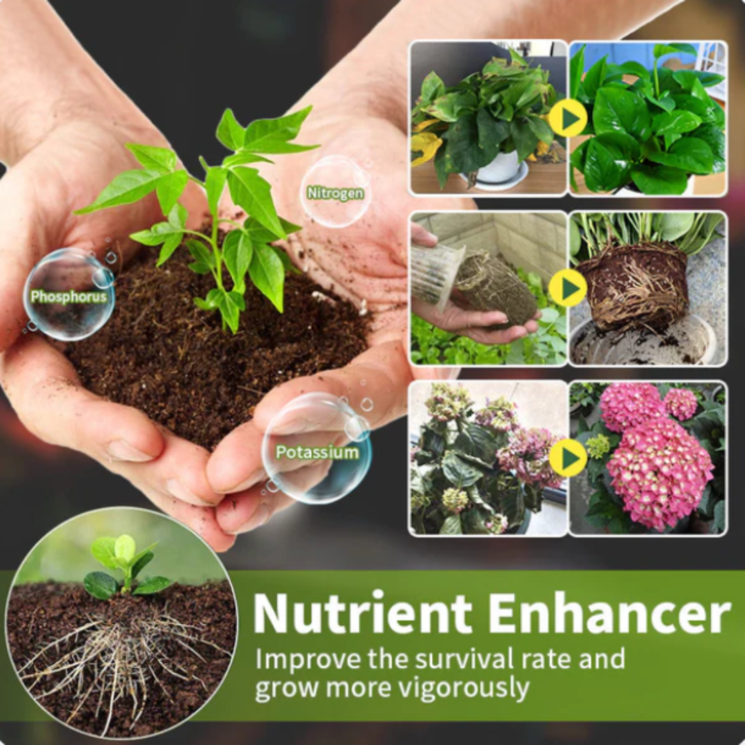 AEXZR®  HyperGrowth-Pro Plant Growth Hormone