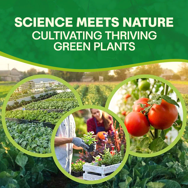 🏆Official Store | 🌺 All-in-one Balanced Nutrition🌺AEXZR® MagicBlooms Slow-Release Plant Fertilizer Spikes