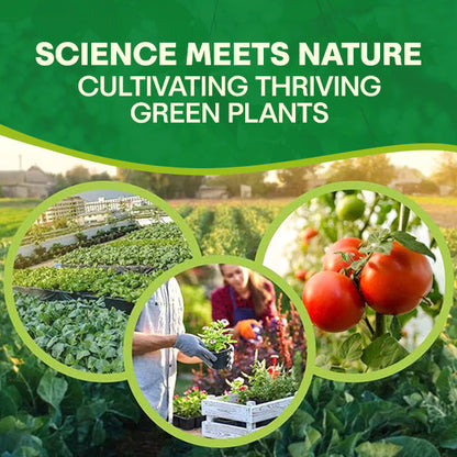 🏆Official Store | 🌺 All-in-one Balanced Nutrition🌺AEXZR® MagicBlooms Slow-Release Plant Fertilizer Spikes