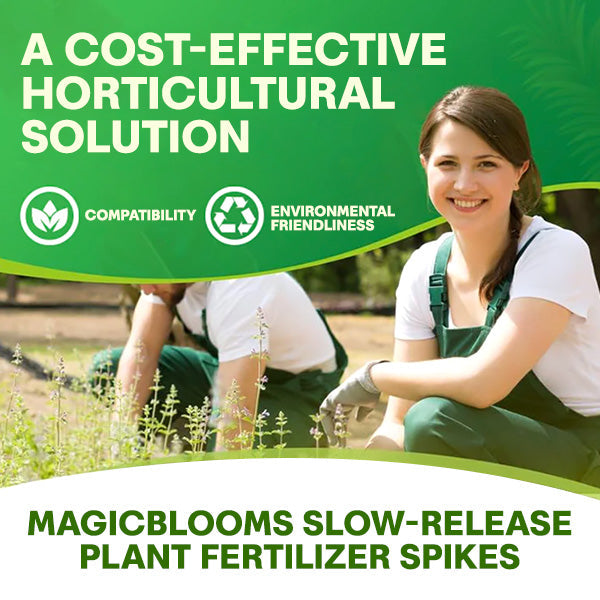 🏆Official Store | 🌺 All-in-one Balanced Nutrition🌺AEXZR® MagicBlooms Slow-Release Plant Fertilizer Spikes