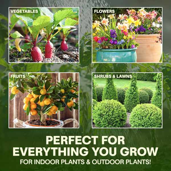 🏆Official Store | 🌺 All-in-one Balanced Nutrition🌺AEXZR® MagicBlooms Slow-Release Plant Fertilizer Spikes