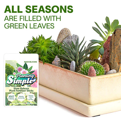 🏆Official Store | 🌺 All-in-one Balanced Nutrition🌺AEXZR® MagicBlooms Slow-Release Plant Fertilizer Spikes