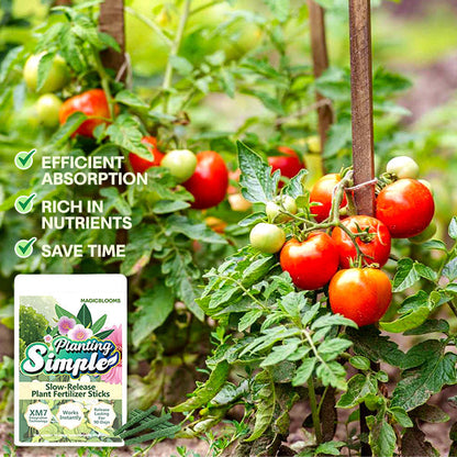 🏆Official Store | 🌺 All-in-one Balanced Nutrition🌺AEXZR® MagicBlooms Slow-Release Plant Fertilizer Spikes